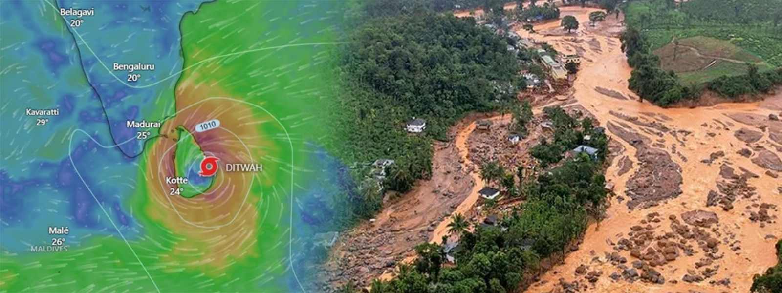 කඳුකර වනාන්තරවලින් 34% කට හානි.....